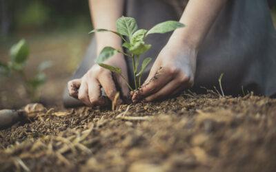Cresce a adoção de biossoluções pelos agricultores brasileiros