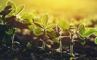 Biológicos: Brasil é protagonista no mercado de biossoluções 