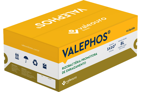 VALEPOS®